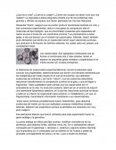 ¿Qué es la vida? ¿Cuál es su origen?