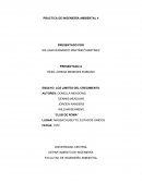 PRACTICA DE INGENIERÍA AMBIENTAL 4 ENSAYO