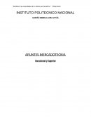 APUNTES MERCADOTECNIA Vocacional y Superior