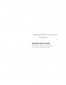 Sistemas de apoyo y control de la información.