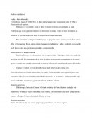 Análisis cualitativo Descripción del negocio