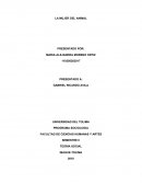 Cuestionario de preguntas para entender el capitalismo