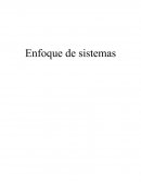 Enfoque de sistemas Trabajo
