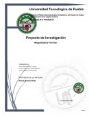 Proyecto de investigación centrada en las problemáticas halladas en la microempresa Fermen