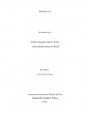 Corporación universitaria Minuto de Dios