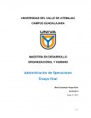 Administración de Operaciones Ensayo