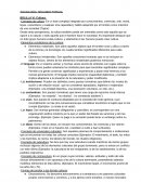 SOCIOLOGÍA: SEGUNDO PARCIAL