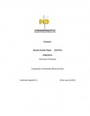 Estructura Financiera - Acciones