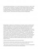 Articulo personalizado sobre Productos Biodegradables