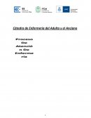 Pproceso de atencion enfermeria