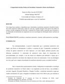 Jornalismo Automotivo ensayo