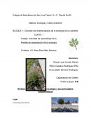 Conoces los niveles básicos de la ecología de su contexto. Niveles de organización de la ecología
