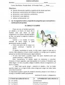 Prueba de Lenguaje y Comunicación