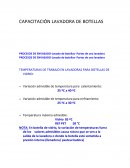 Lavadora de Botellas