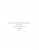 Control 1 de normativa de calidad y ambiente