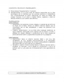 Comunicación e Imagen Profesional