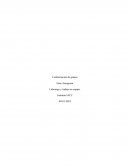 Conformación de grupos Liderazgo y trabajo en equipo.