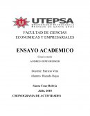 ENSAYO ACADEMICO ACTIVIDADES