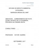ESTUDIO DE IMPACTO AMBIENTAL