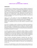 Calcificacion y pigmentos