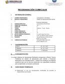PROGRAMACIÓN CURRICULAR Computación e Informática