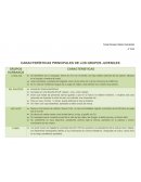 CARACTERÍSTICAS PRINCIPALES DE LOS GRUPOS JUVENILES