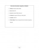 Estructura económica Argentina y mundial