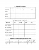 Cédulas de presupuesto maestro