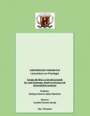 CRÍTICO DE EL CUENTO DE LA ISLA DESCONOCIDA DE JOSÉ SARAMAGO