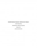 DESCRIPCIONES DE PUESTOS Y PERFILES DEL TRABAJO