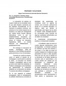 Profesor facilitador