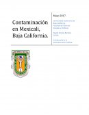 Contaminacion en Mexicalic