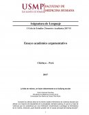 Ensayo académico argumentativo