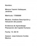 Planeacion para el capital humano