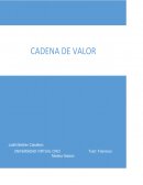 CADENA DE VALOR DE AGROIN S.A de C.V.