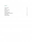 Estudio del trabajo ARGENTUM