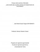 Ensayo practica en manizales