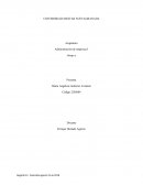 Ideales en la época feudal de la administración