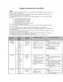 Principios de Progresión Plan Carrera SPOCs