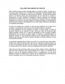 Collares gps para mascotas