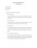 PROYECTOS INFORMÁTICOS I Trabajo Individual