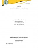 Informe levantamiento cinta y jalón