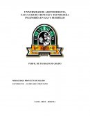 PERFIL DE TRABAJO DE GRADO