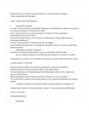 PERITAJE DE UN ÁREA DE APLICACIÓN DE LA PSICOLOGÍA JURÍDICA