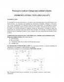 Pasos para realizar un diagrama de Entidad-Relación (Base de Datos)