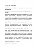 Nuestro Principios y Compromisos