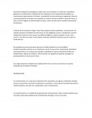 Contaminación: una problematica real