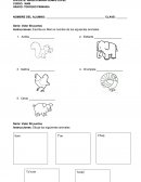 PRUEBA BIMESTRAL DE TERCERA UNIDAD MAM