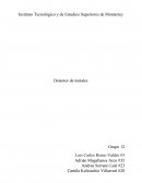 Proyecto final Electricidad y Magnetismo