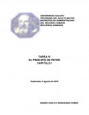 RECURSOS HUMANOS EL PRINCIPIO DE PETER TAREA